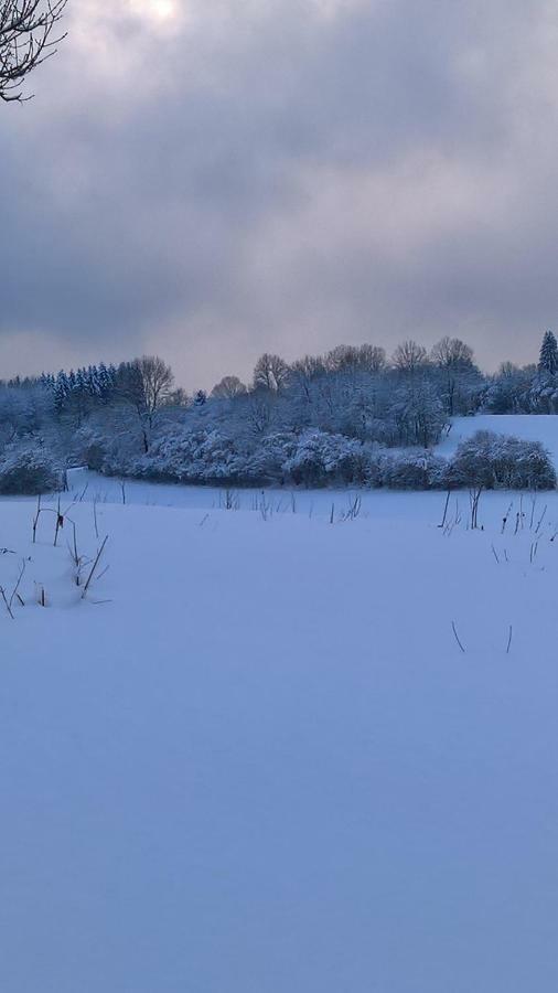 Chambre D Hote 1873 Frasne エクステリア 写真
